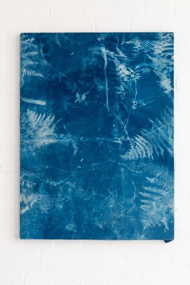 Blue Forest